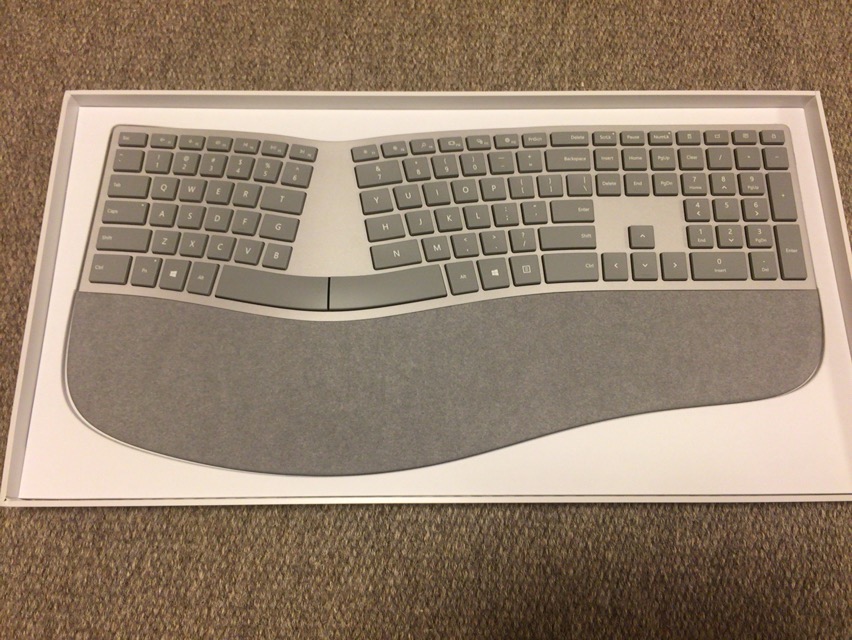 Surface Ergonomic Keyboard全体写真